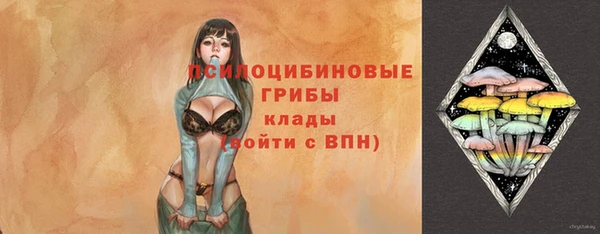 молекула духа Балахна